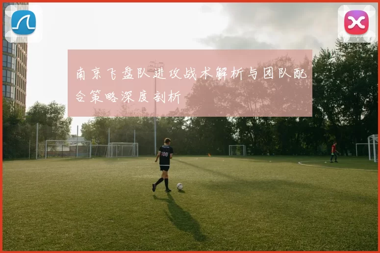 南京飞盘队进攻战术解析与团队配合策略深度剖析