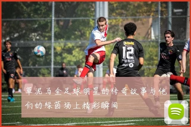 草泥马全足球明星的传奇故事与他们的绿茵场上精彩瞬间