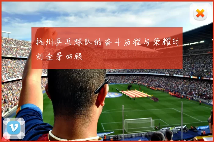 杭州乒乓球队的奋斗历程与荣耀时刻全景回顾