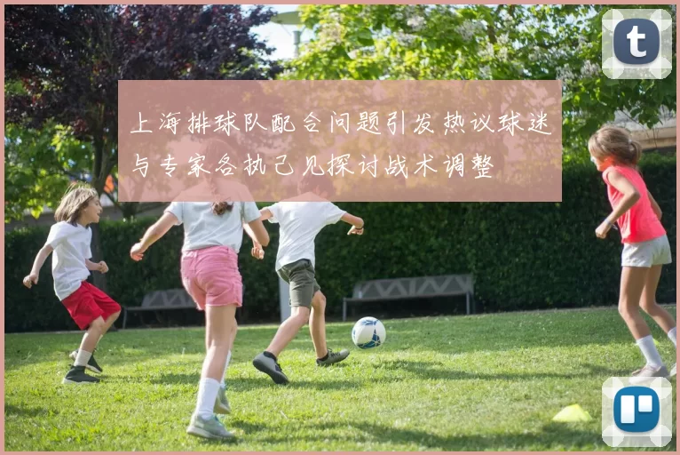 上海排球队配合问题引发热议球迷与专家各执己见探讨战术调整