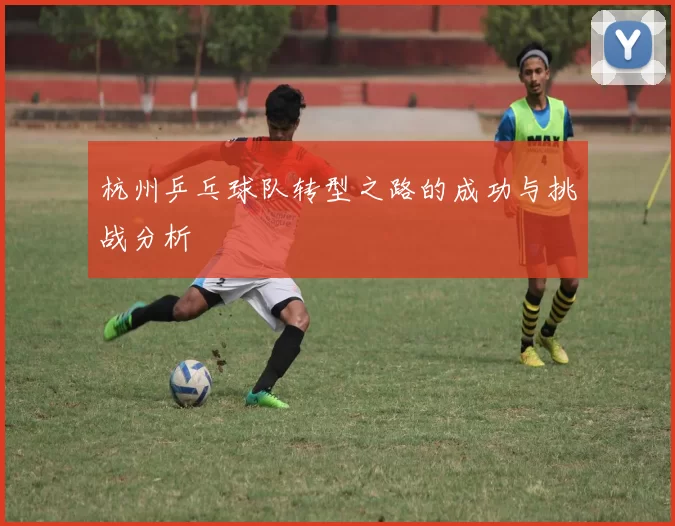 杭州乒乓球队转型之路的成功与挑战分析