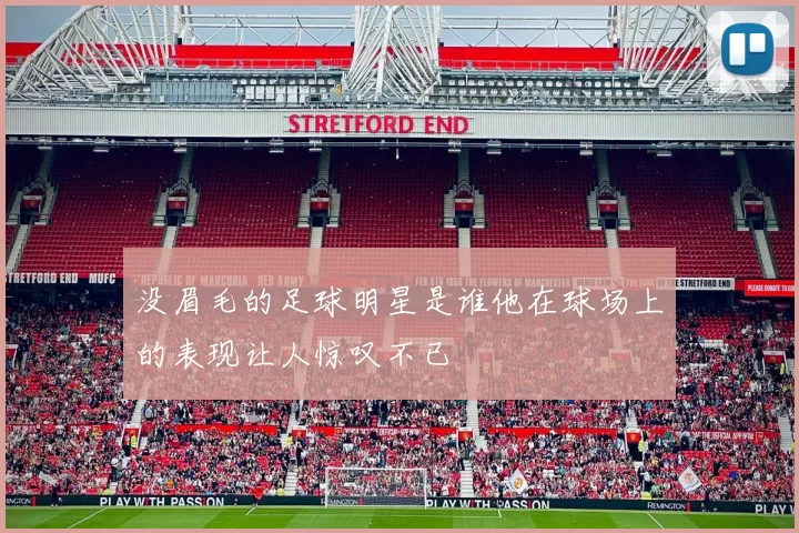没眉毛的足球明星是谁他在球场上的表现让人惊叹不已
