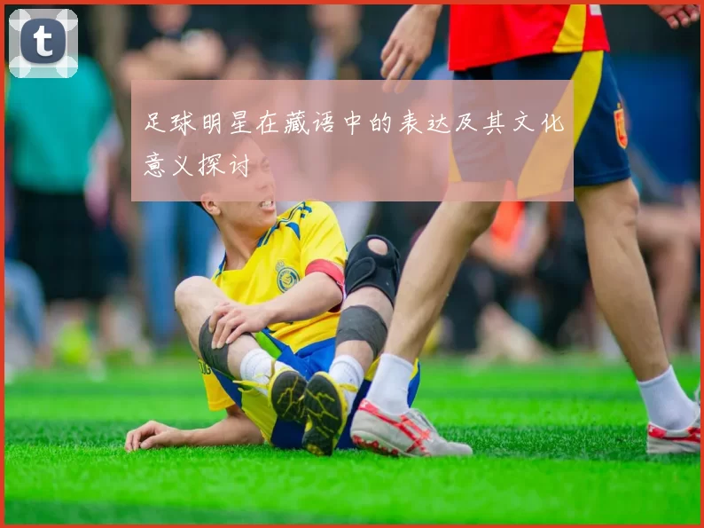 足球明星在藏语中的表达及其文化意义探讨