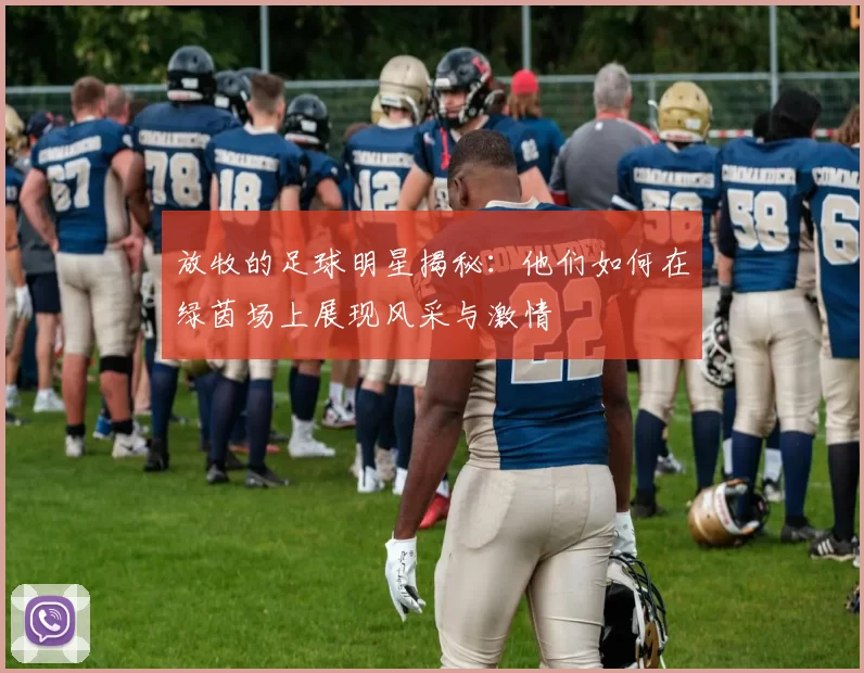 放牧的足球明星揭秘：他们如何在绿茵场上展现风采与激情