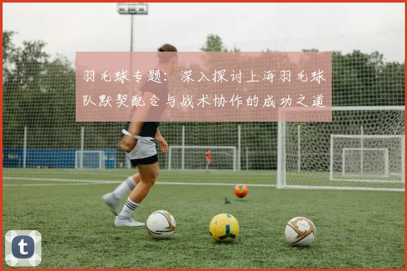 羽毛球专题：深入探讨上海羽毛球队默契配合与战术协作的成功之道