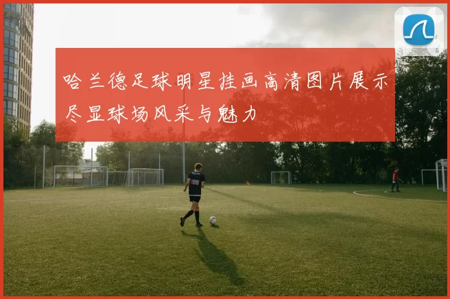 哈兰德足球明星挂画高清图片展示尽显球场风采与魅力