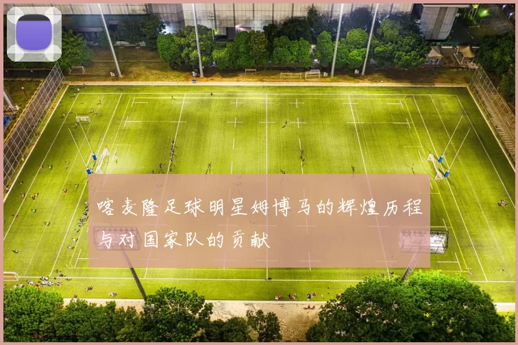 喀麦隆足球明星姆博马的辉煌历程与对国家队的贡献