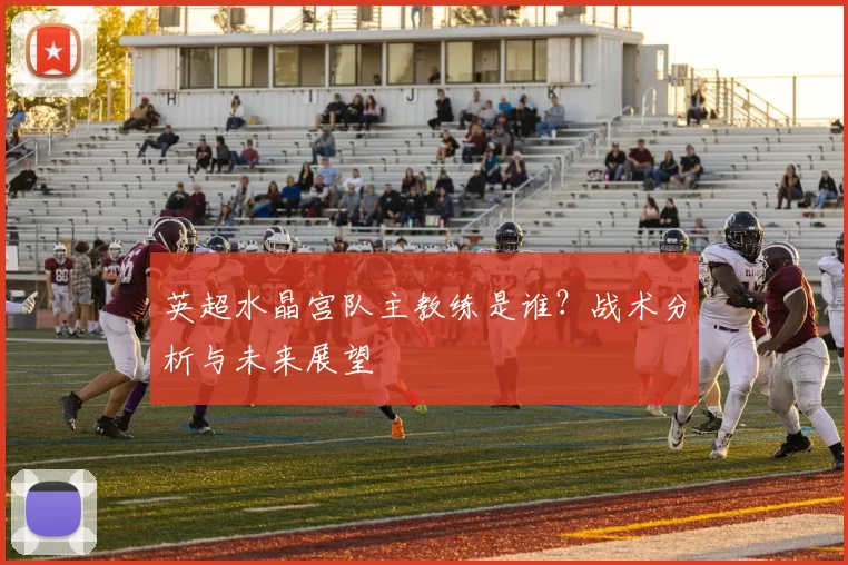 英超水晶宫队主教练是谁？战术分析与未来展望