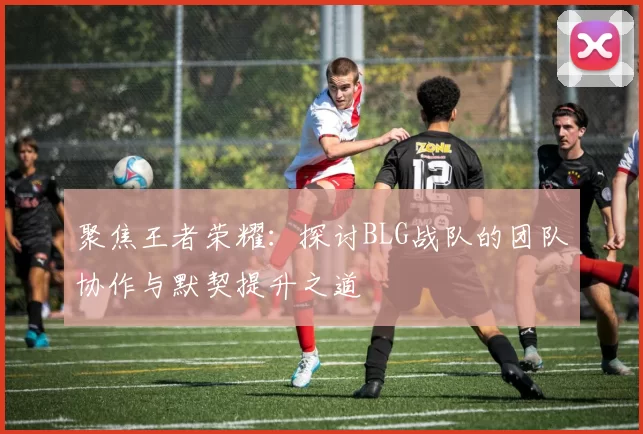 聚焦王者荣耀：探讨BLG战队的团队协作与默契提升之道