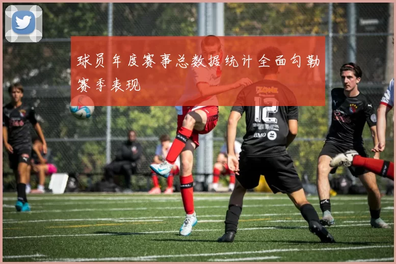 球员年度赛事总数据统计全面勾勒赛季表现