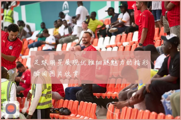 足球明星展现优雅细腿魅力的精彩瞬间图片欣赏