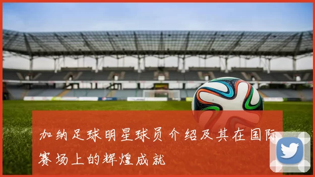 加纳足球明星球员介绍及其在国际赛场上的辉煌成就