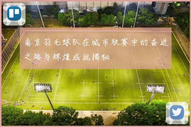 南京羽毛球队在城市联赛中的奋进之路与辉煌成就揭秘