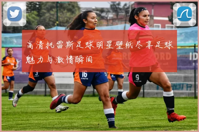 高清托雷斯足球明星壁纸尽享足球魅力与激情瞬间