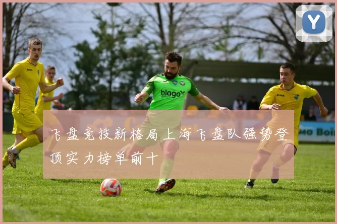 飞盘竞技新格局上海飞盘队强势登顶实力榜单前十