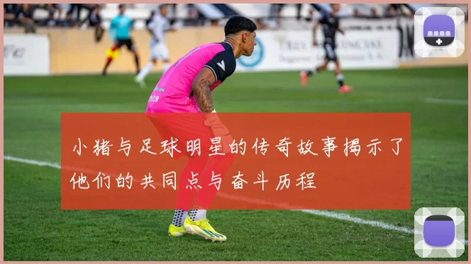 小猪与足球明星的传奇故事揭示了他们的共同点与奋斗历程