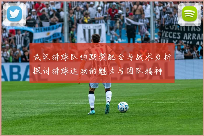 武汉排球队的默契配合与战术分析探讨排球运动的魅力与团队精神