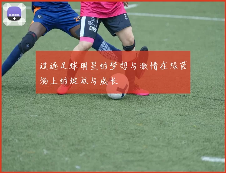 追逐足球明星的梦想与激情在绿茵场上的绽放与成长