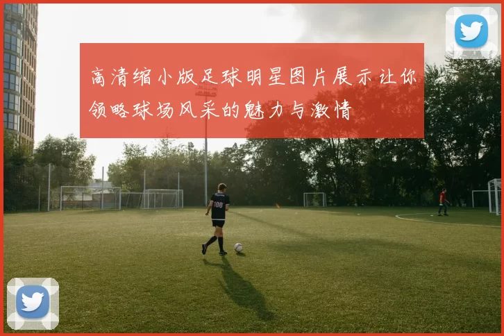 高清缩小版足球明星图片展示让你领略球场风采的魅力与激情