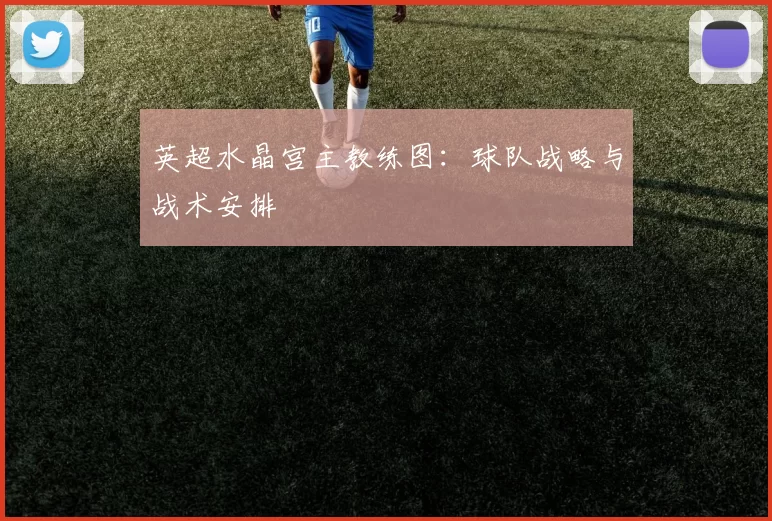 英超水晶宫主教练图：球队战略与战术安排