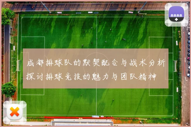 成都排球队的默契配合与战术分析探讨排球竞技的魅力与团队精神