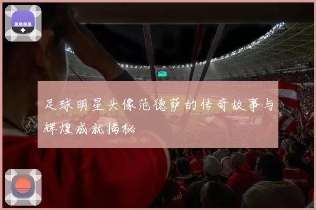足球明星头像范德萨的传奇故事与辉煌成就揭秘