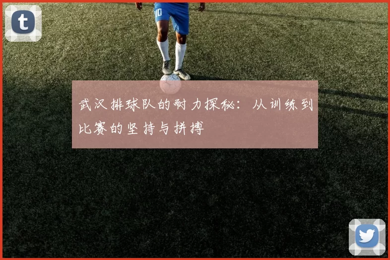 武汉排球队的耐力探秘：从训练到比赛的坚持与拼搏