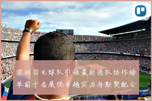 深圳羽毛球队引领最新团队协作榜单前十名展现卓越实力与默契配合