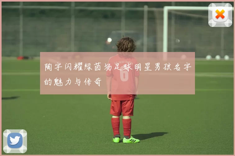 陶字闪耀绿茵场足球明星男孩名字的魅力与传奇