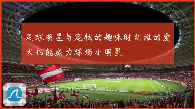 足球明星与宠物的趣味时刻谁的爱犬也能成为球场小明星