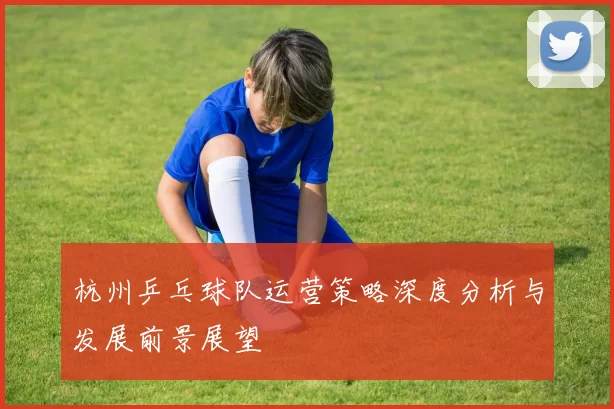 杭州乒乓球队运营策略深度分析与发展前景展望