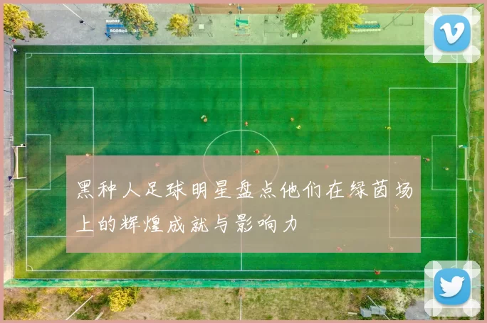 黑种人足球明星盘点他们在绿茵场上的辉煌成就与影响力