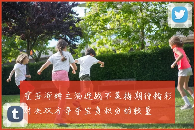 霍芬海姆主场迎战不莱梅期待精彩对决双方争夺宝贵积分的较量
