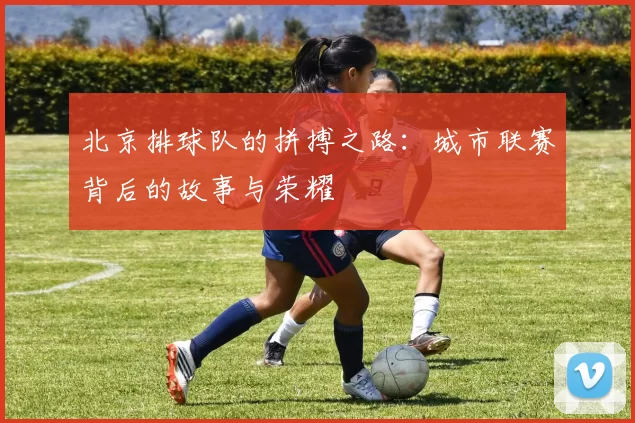 北京排球队的拼搏之路：城市联赛背后的故事与荣耀